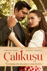 Calikusu – Episode 13